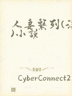 人妻系列(淫篇)小说