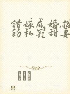 错嫁成婚,总裁的私宠甜妻