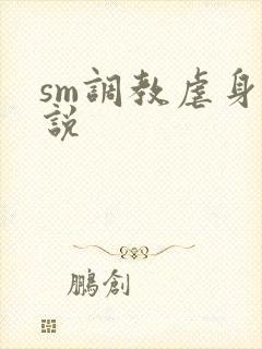 sm调教虐身小说