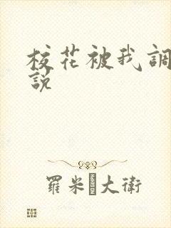 校花被我调教小说