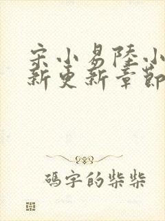 宋小易陆小婷最新更新章节笔趣阁封面