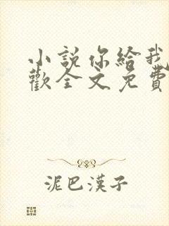 小说你给我的喜欢全文免费阅读