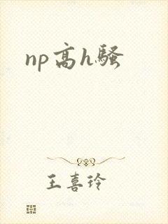 np高h骚封面