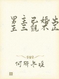 男主已婚出轨女主三观不正小说