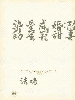 染爱成婚:陆少的蜜宠甜妻