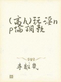 (高h)玩淫np伦调教