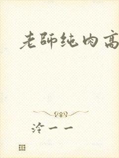 老师纯肉高h文