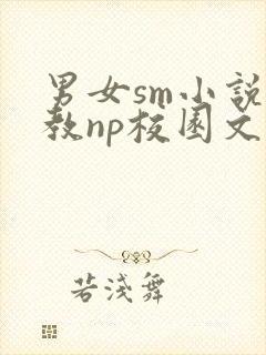 男女sm小说调教np校园文