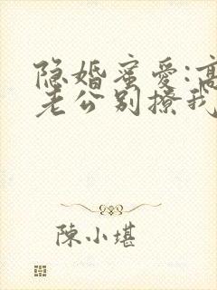 隐婚蜜爱:高冷老公别撩我