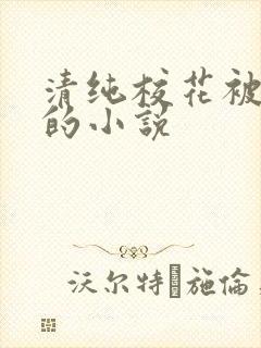 清纯校花被调教的小说