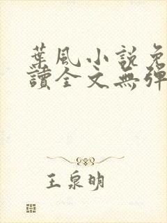 叶风小说免费阅读全文无弹窗