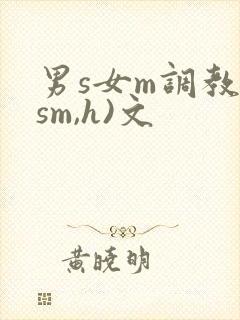 男s女m调教(sm,h)文