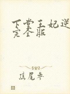 下堂王妃逆袭记完全版