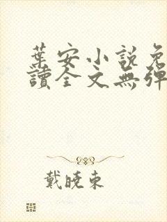 叶安小说免费阅读全文无弹窗