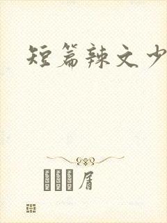 短篇辣文少妇封面