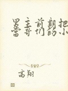 男主前期把女主当哥们的小说封面