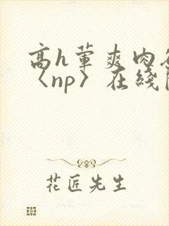 高h荤爽肉欲文〈np〉在线阅读