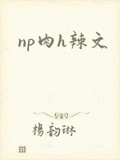 np肉h辣文