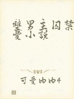 双男主囚禁强制爱小说