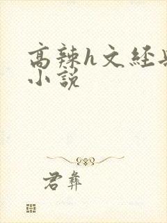 高辣h文经典乱小说