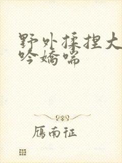 野外揉捏大乳呻吟娇喘