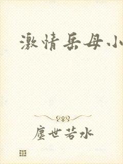 激情岳母小说