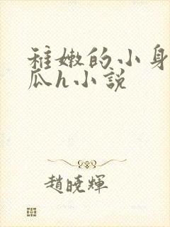 稚嫩的小身子破瓜h小说封面