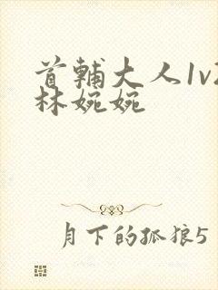 首辅大人1v2林婉婉