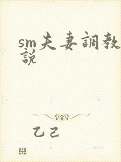 sm夫妻调教小说