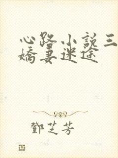 心路小说三部曲娇妻迷途