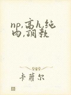np,高h,纯肉,调教