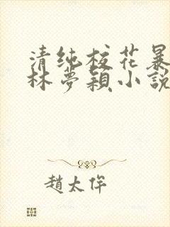 清纯校花暴露记林梦颖小说免费阅读