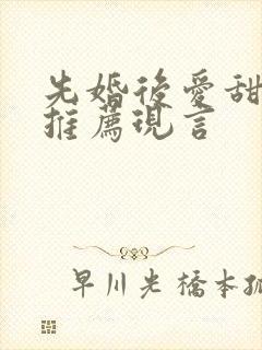 先婚后爱甜宠文推荐现言