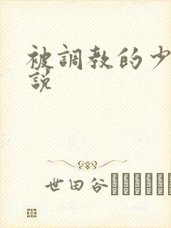 被调教的少妇小说封面