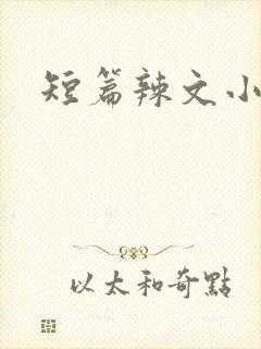 短篇辣文小说h