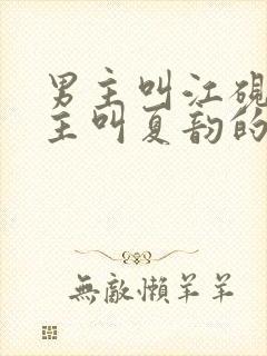 男主叫江砚书女主叫夏韵的小说封面