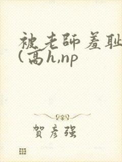 被老师羞耻调教(高h,np