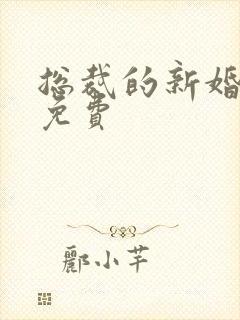 总裁的新婚罪婚免费