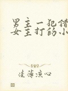 男主一犯错就挨女主打的小说