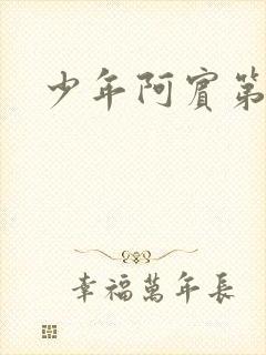 少年阿宾第二部