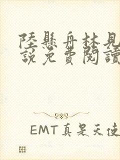 陆悬舟林见椿小说免费阅读最新章节封面