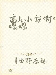 高h小说啊啊啊嗯嗯