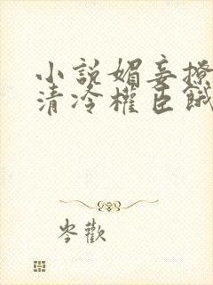 小说媚妾撩人,清冷权臣饿疯了免费