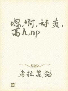 嗯,啊,好爽,高h,np