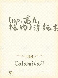 (np,高h,纯肉)清纯校花
