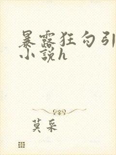 暴露狂勾引短篇小说h