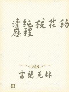 清纯校花的调教历程