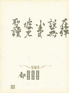 圣墟小说在线阅读免费无弹窗封面