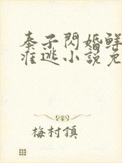 奉子闪婚鲜妻不准逃小说免费阅读封面