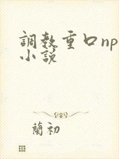 调教重口np文小说